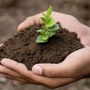 Green Community Project
